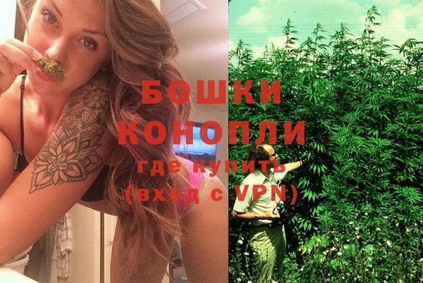 гидра Наволоки