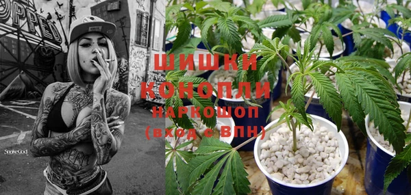 гидра Наволоки