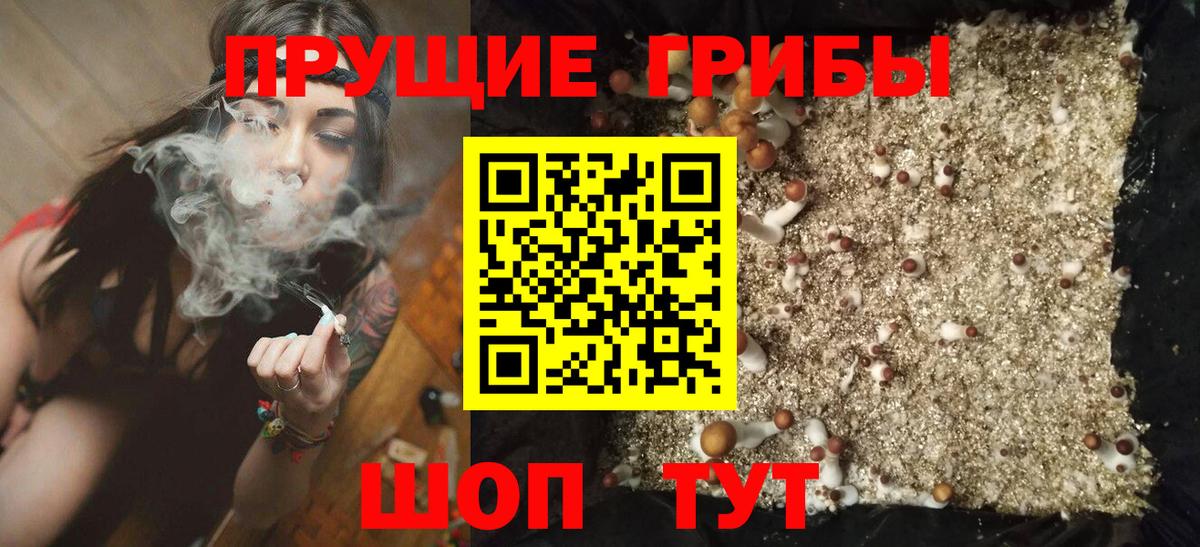 Псилоцибиновые грибы мухоморы Элиста