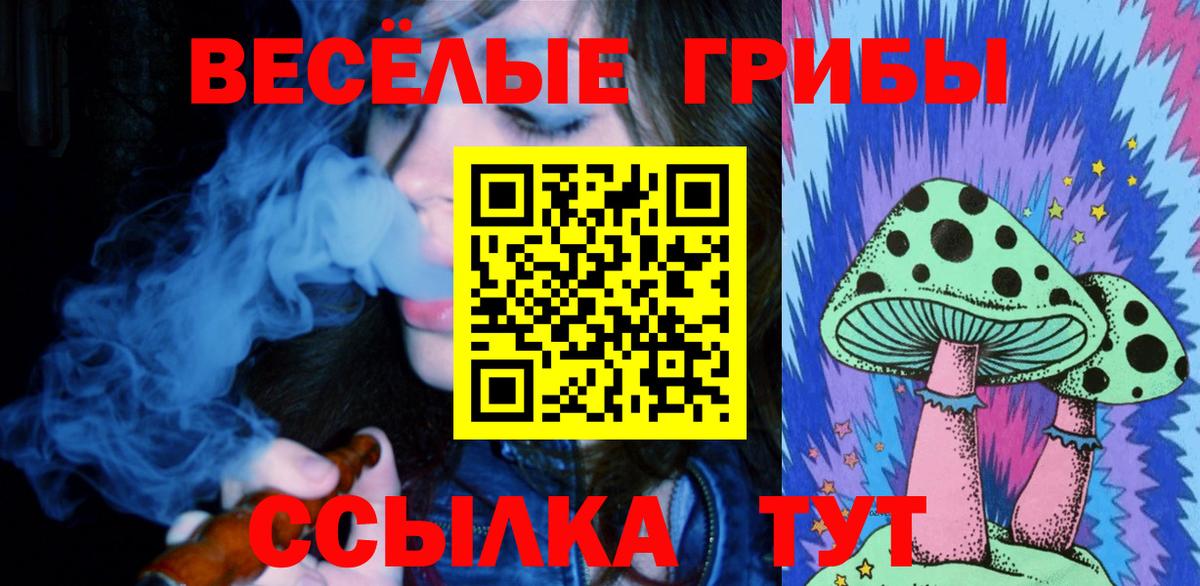 Псилоцибиновые грибы Psilocybine cubensis  Вход с VPN  Элиста 